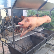 Pig Roast